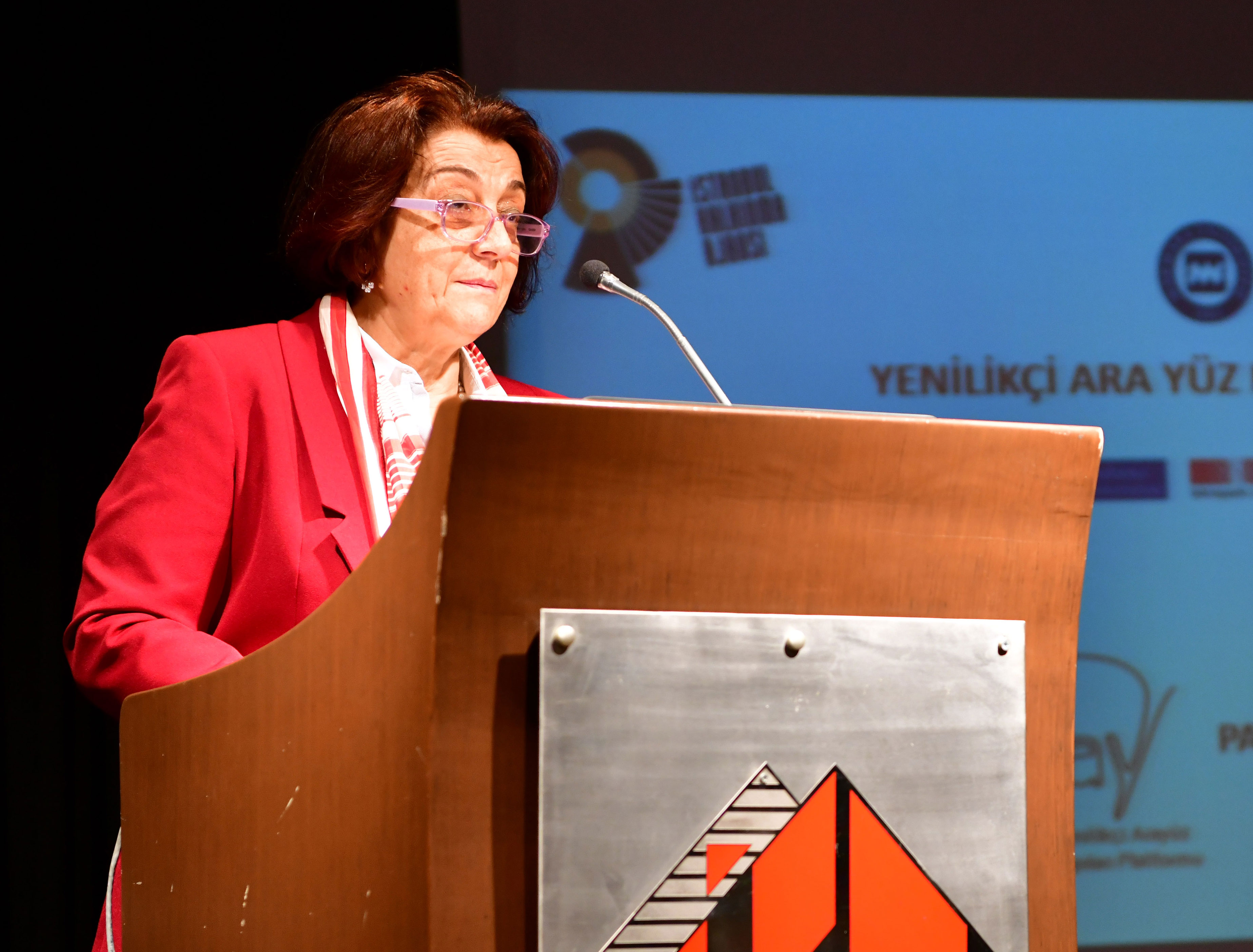 Yenilikçi Ara Yüz Yapıları (YAY) Platformu Projesi Tanıtım Toplantısı Prof. Dr. Nihal Sarıer