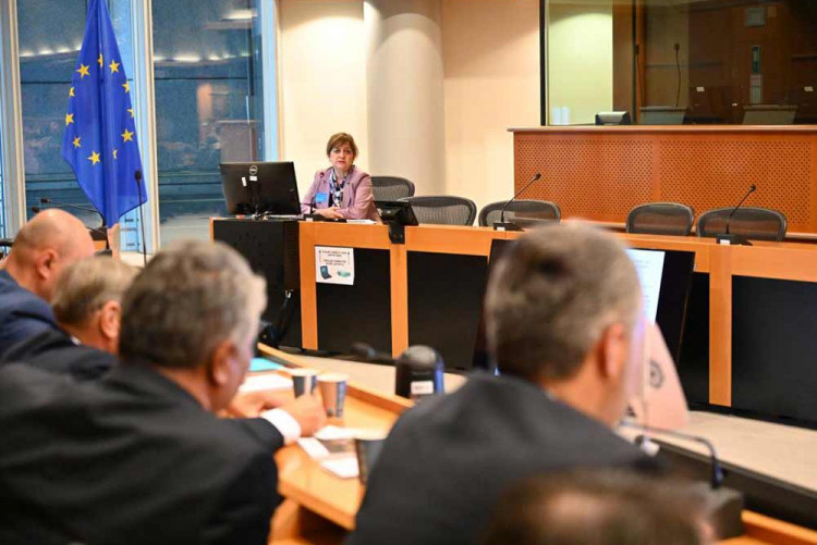 IKU FACULTY OF ARCHITECTURE DEAN PROF. DR. NESLİHAN DOSTOĞLU GAVE A PRESENTATION AT THE EUROPEAN PARLIAMENT IN BRUSSELS 