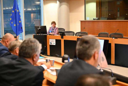 IKU FACULTY OF ARCHITECTURE DEAN PROF. DR. NESLİHAN DOSTOĞLU GAVE A PRESENTATION AT THE EUROPEAN PARLIAMENT IN BRUSSELS 